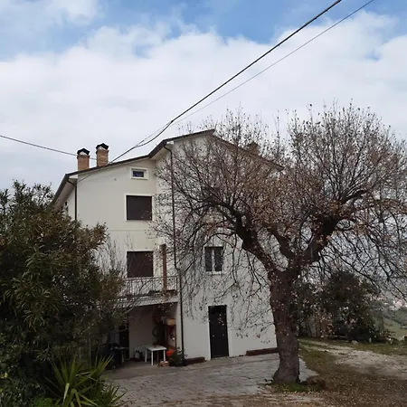 Quercia Grande * Casoli (Abruzzo)